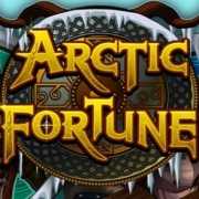 Artic Fortune Artic Fortune